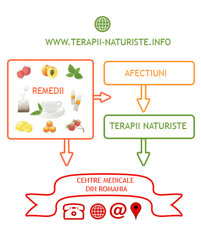 Schema de functionare a site-ului web terapii-naturiste.info